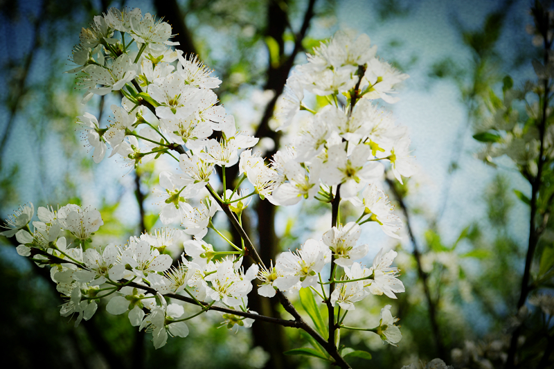 DSC_1212_副本.jpg