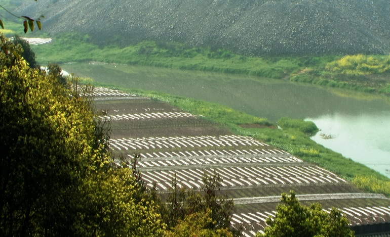 二郎庙风光.jpg