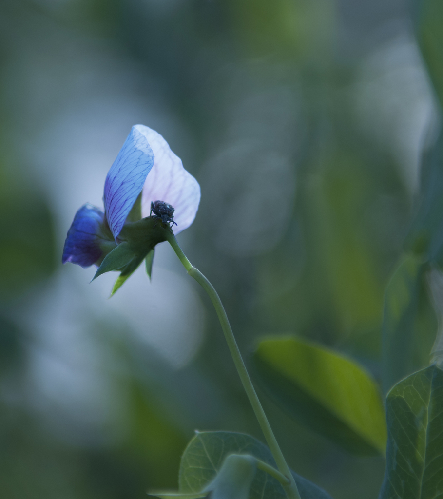 DSC_3522.jpg