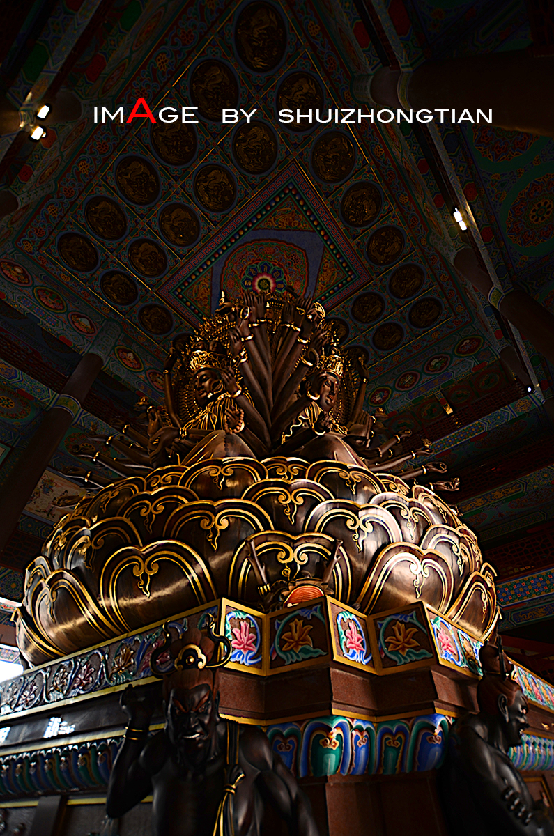 DSC_3992.jpg