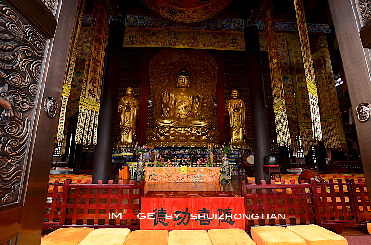 DSC_4021副本.jpg