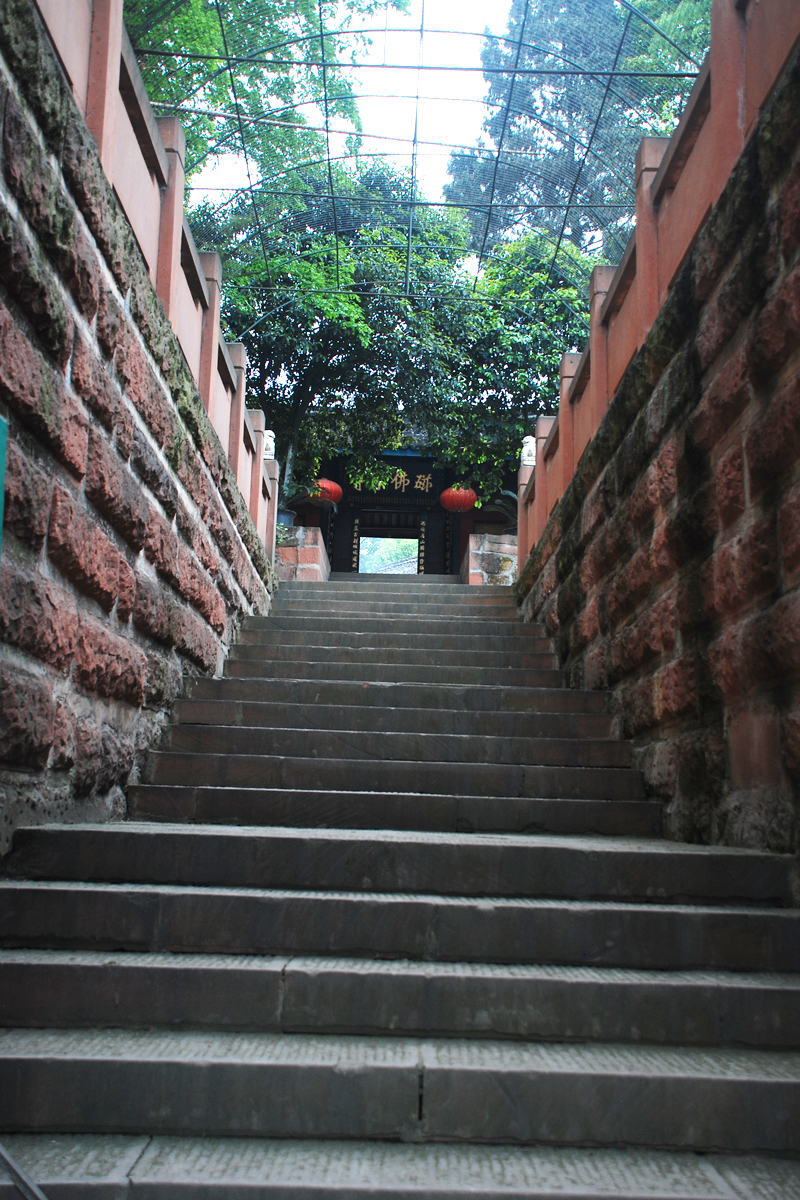 DSC_7374.jpg