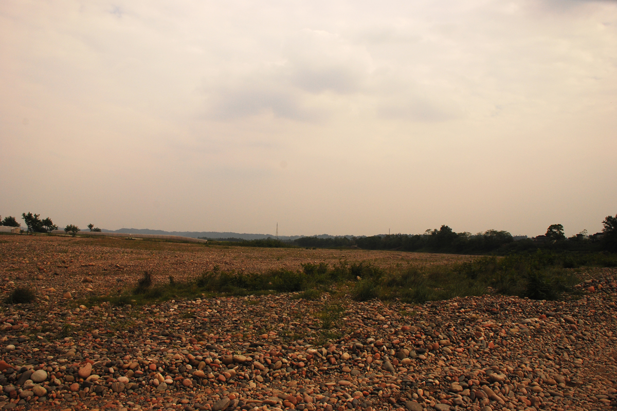DSC_7333.jpg