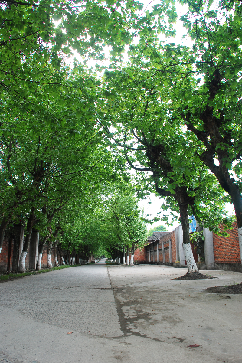 DSC_7346.jpg