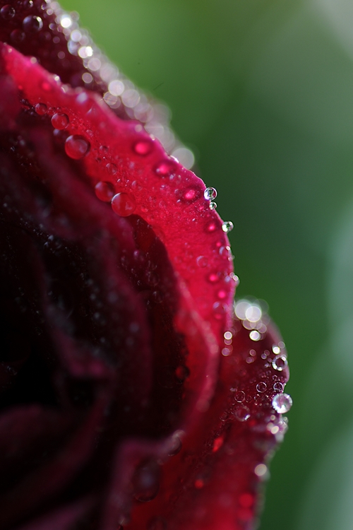DSC_7200.jpg