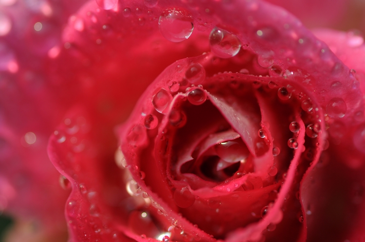 DSC_7228.jpg