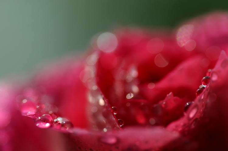 DSC_7240.jpg