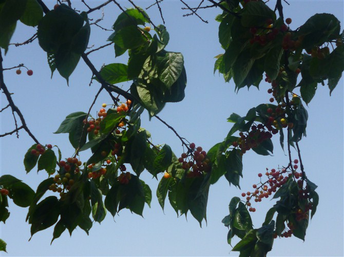 88.jpg