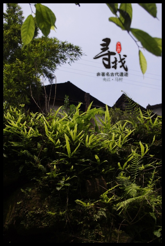 夹江·马村.jpg