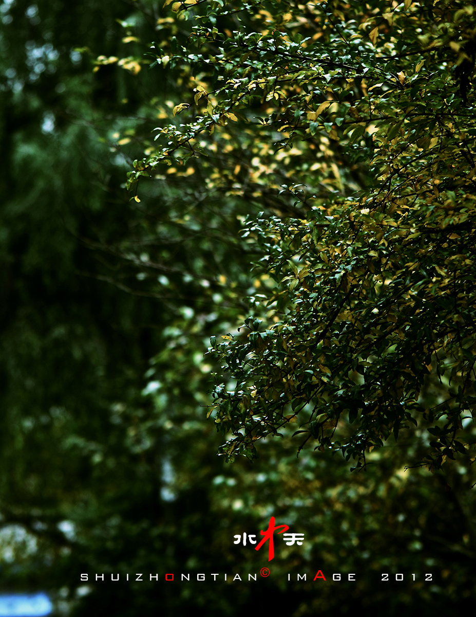 DSC_2848副本.jpg
