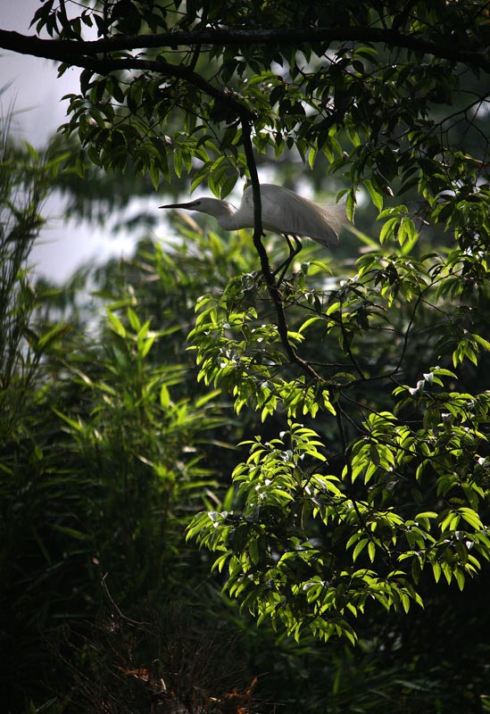 IMG_8488 副本.jpg