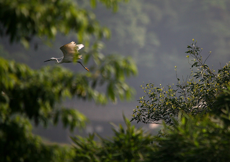 IMG_8771 副本.jpg
