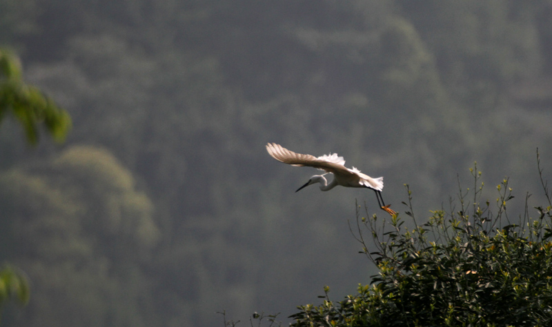 IMG_0691 副本 2.jpg
