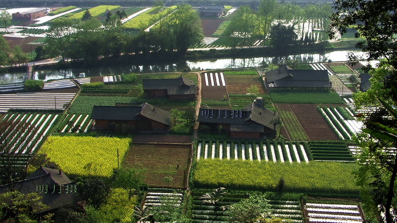 金子坝田野.jpg