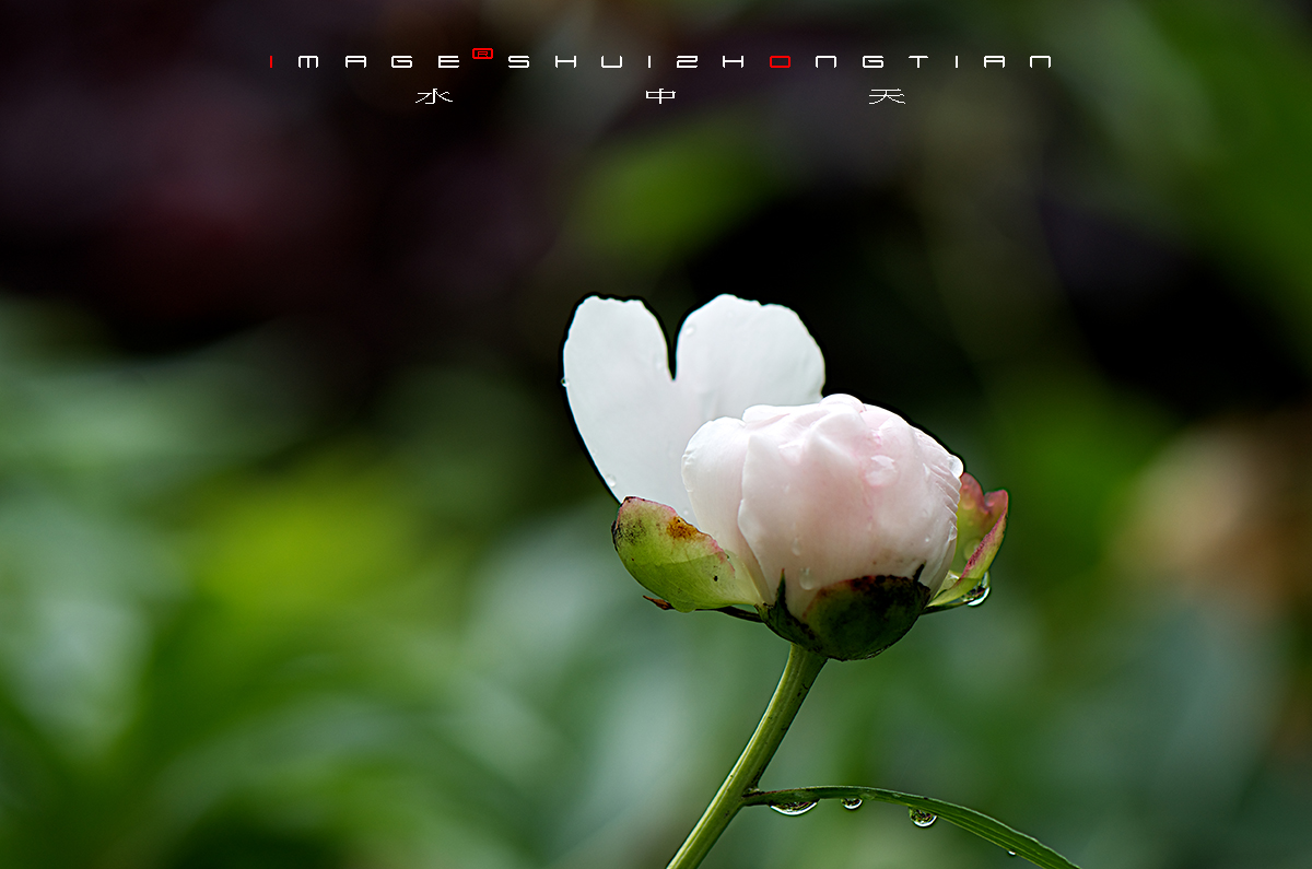 DSC_4548副本.jpg