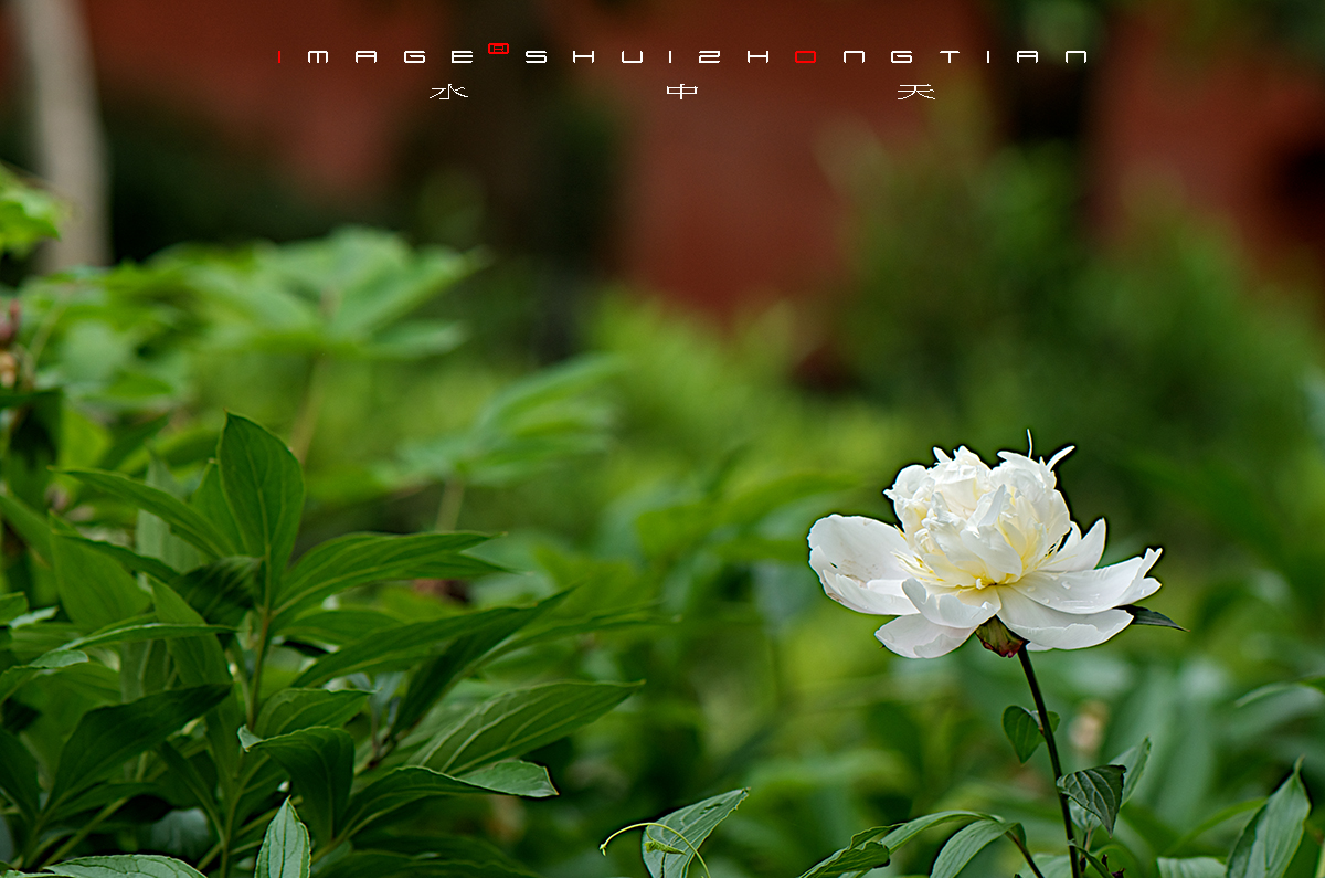 DSC_4552副本.jpg