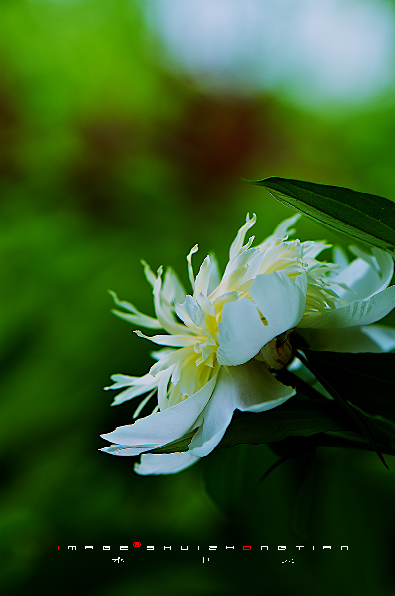 DSC_4557副本.jpg