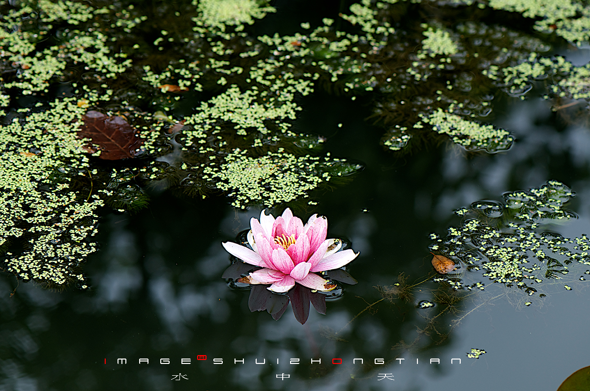 DSC_4542副本.jpg