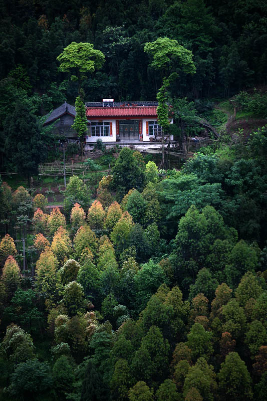 IMG_9619 副本.jpg