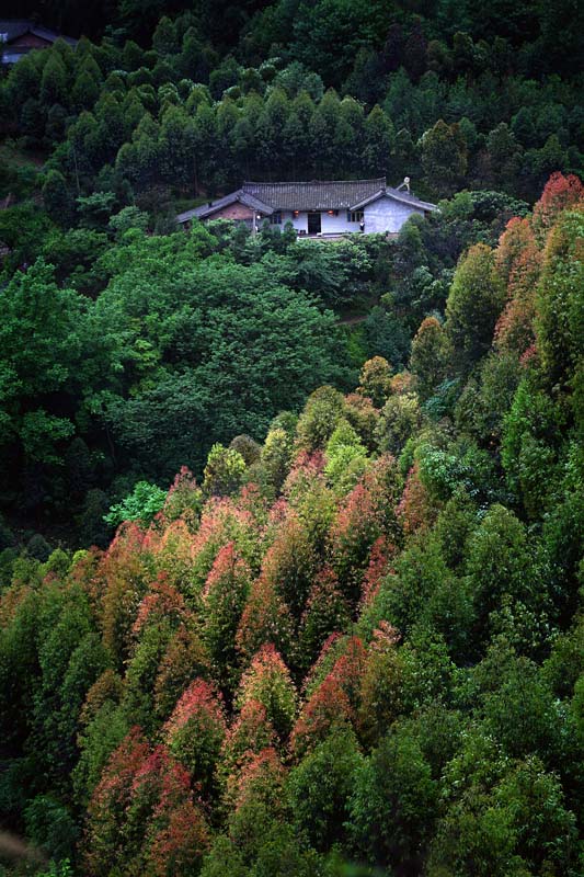 IMG_9627 副本.jpg