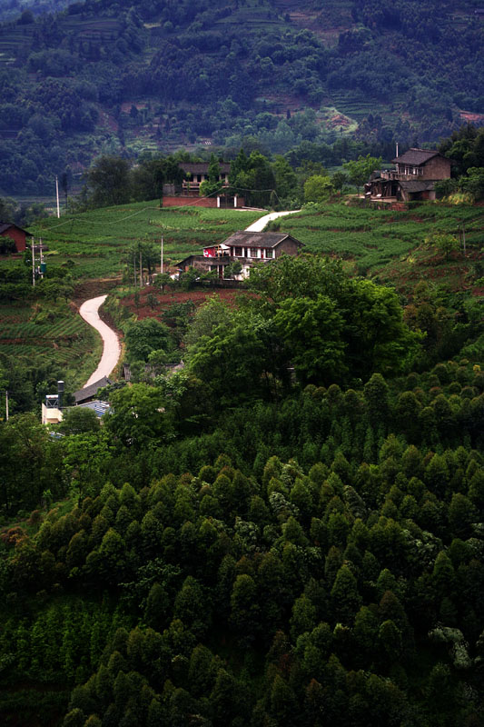 IMG_9634 副本.jpg