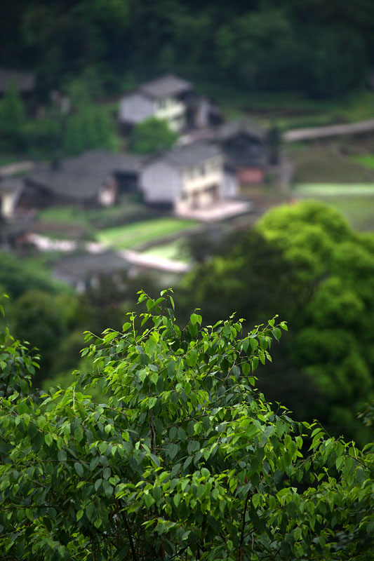 IMG_9667 副本.jpg