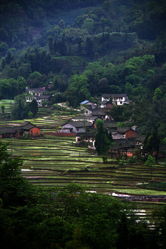 IMG_9733 副本.jpg