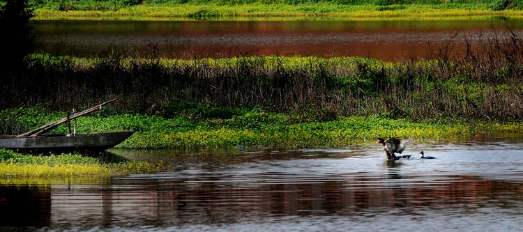 DSC_8070.jpg