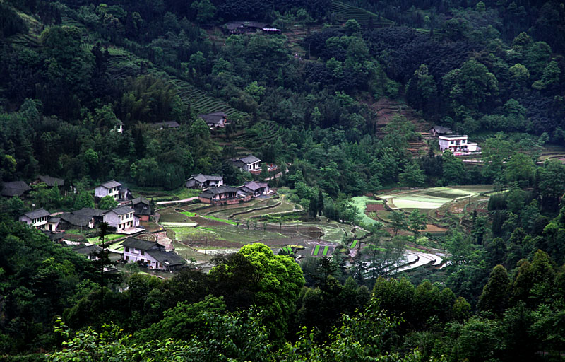 IMG_0090 副本 2.jpg