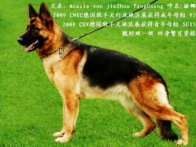 丽娜.jpg