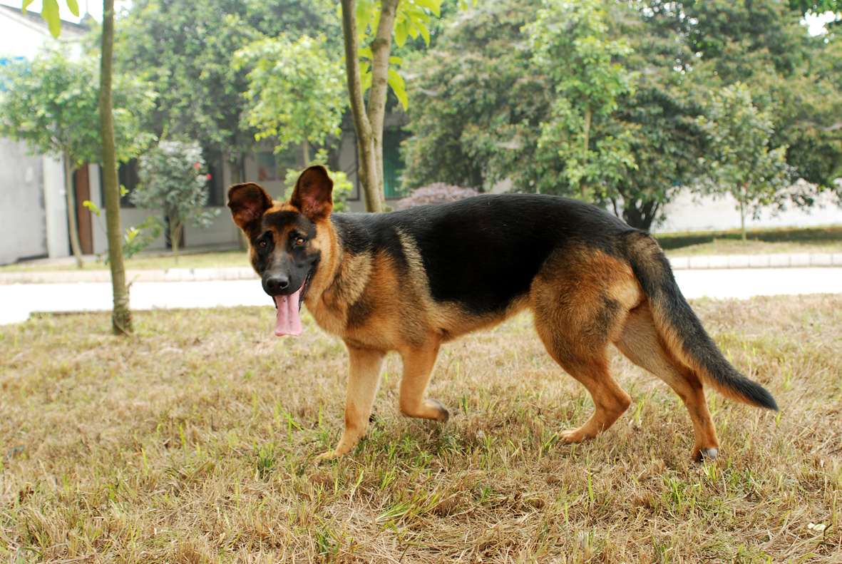 DSC_7595.jpg