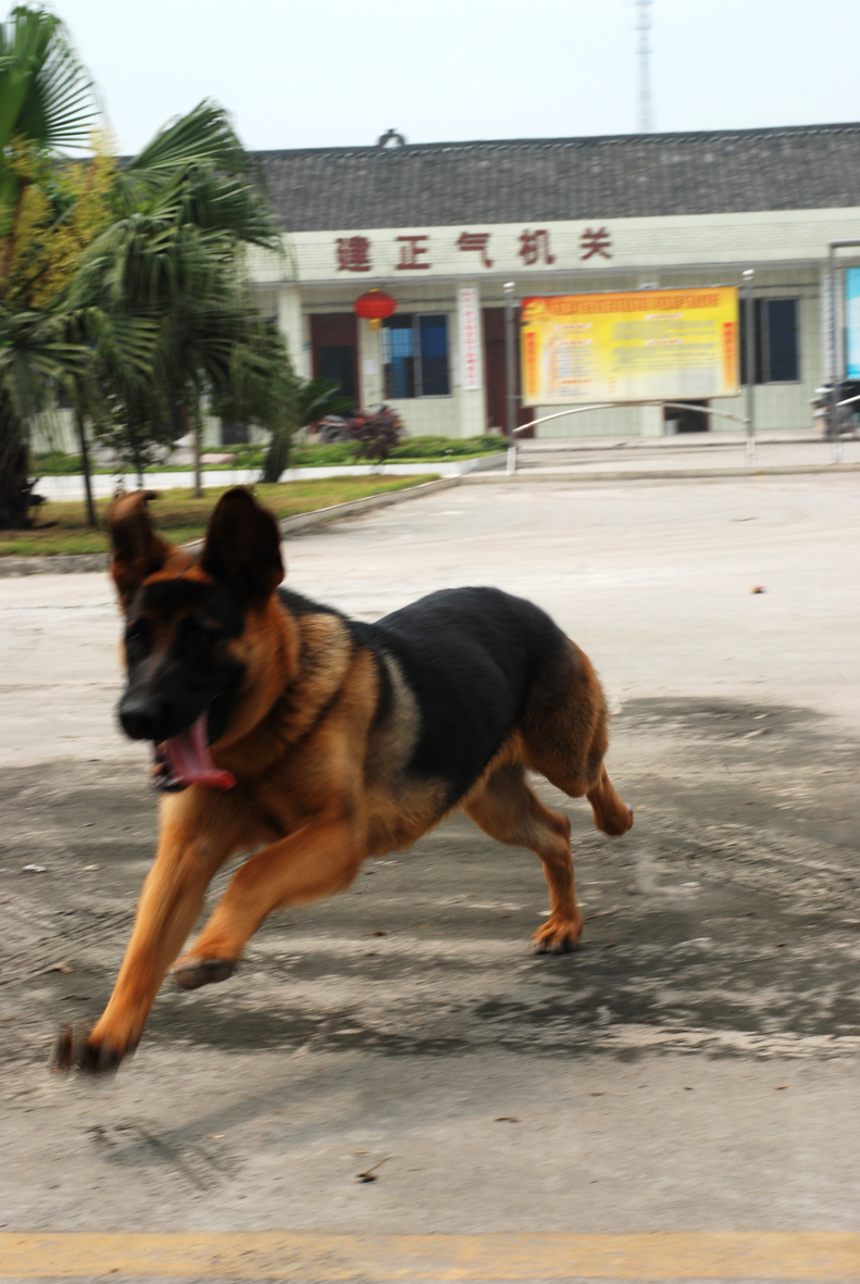 DSC_7592.jpg