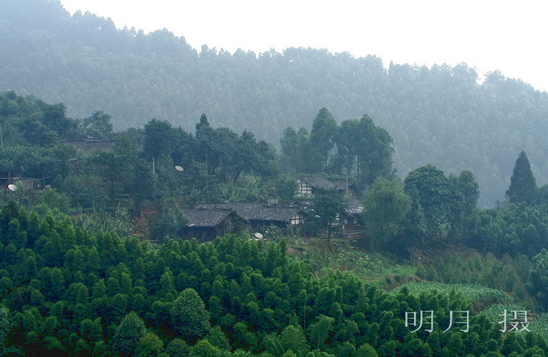 山顶人家.jpg