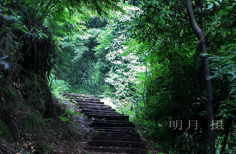 山间小道2.jpg