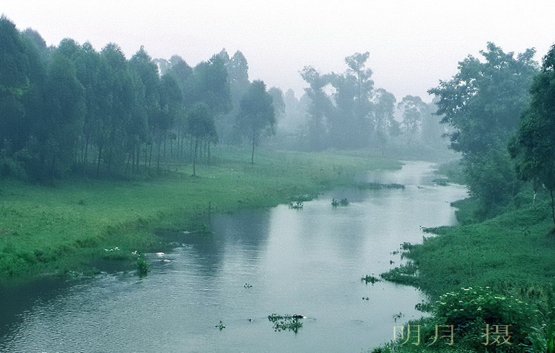 河湾晨雾1.jpg