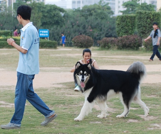 未命名2.jpg