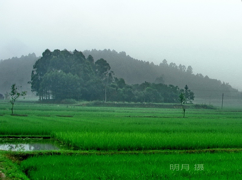 山清水秀_.jpg