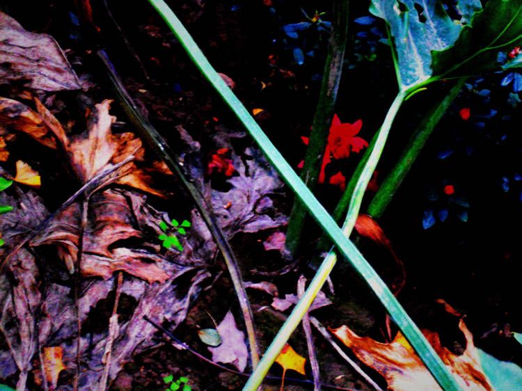 DSCN2939.jpg