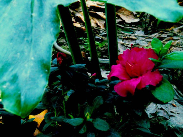 DSCN2947.jpg