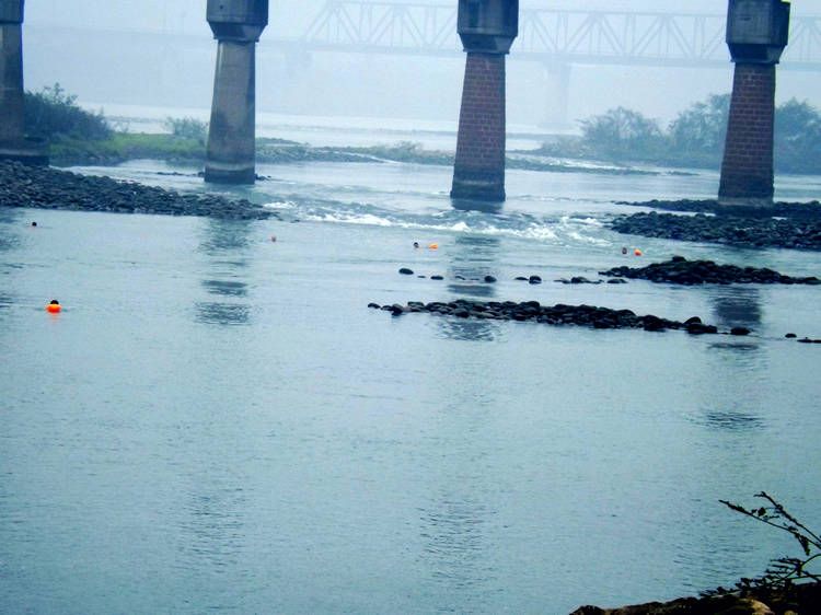 DSCF0062.JPG