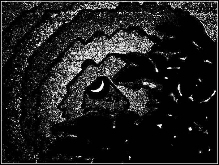 nEO_IMG_DSCF0425.jpg
