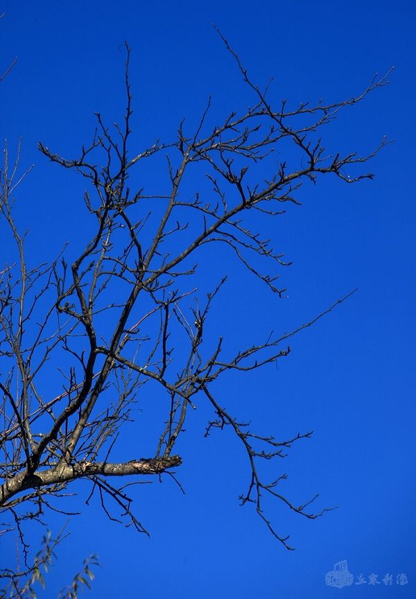 IMG_5105.jpg