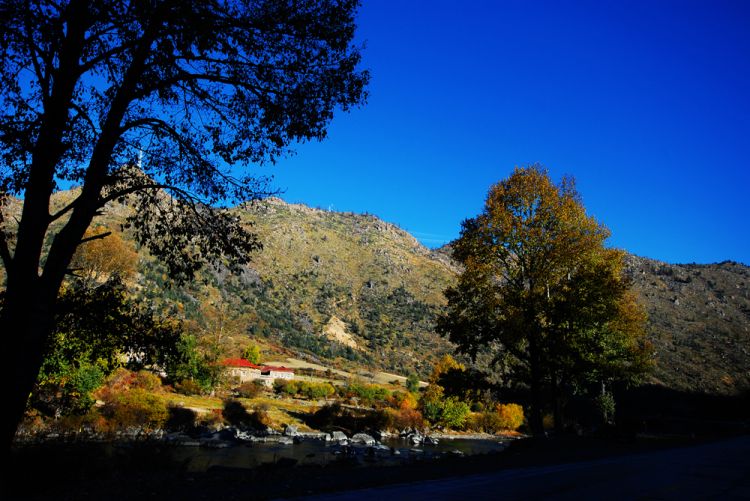 DSC_4163.JPG
