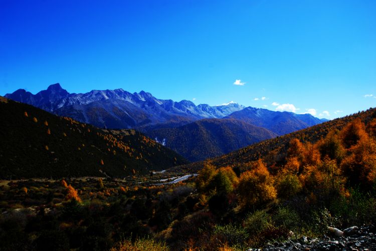 DSC_5658.JPG