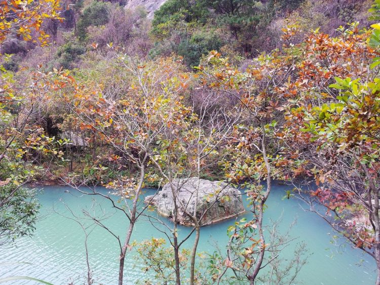 20121213_111206.jpg