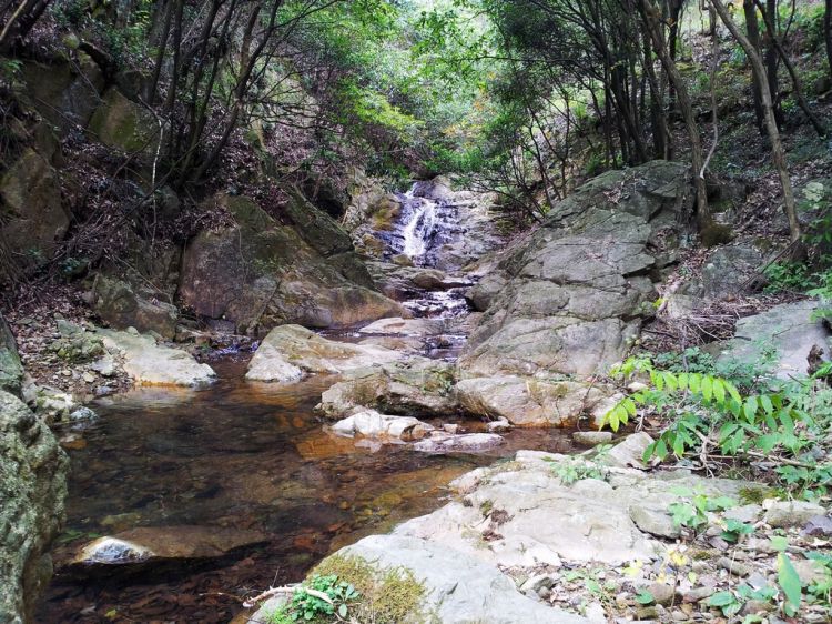 20121213_112800.jpg
