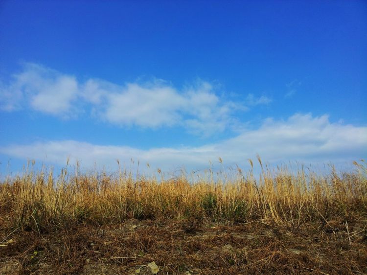 20121213_121901.jpg