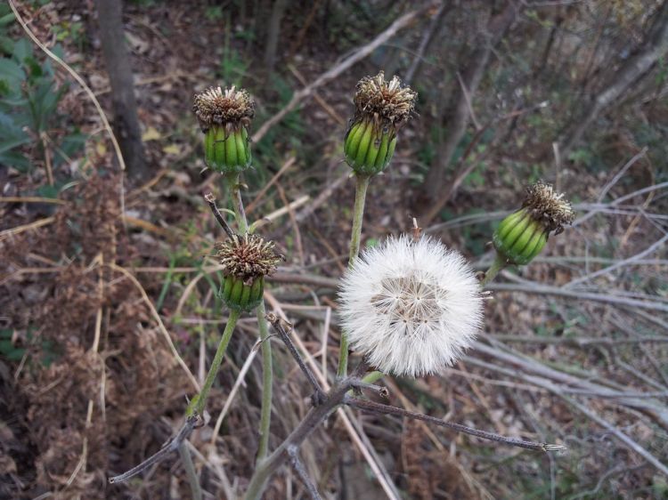 20121213_124456.jpg