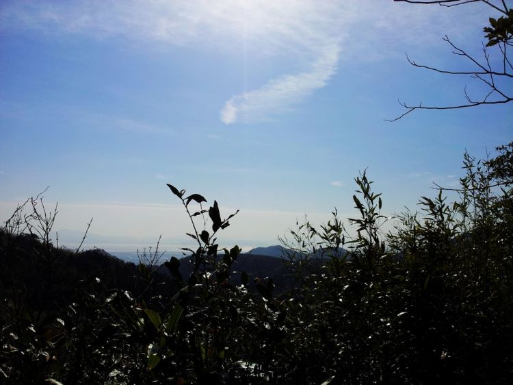 20130101_114945.jpg