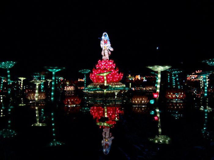 IMG_20130102_205950.jpg